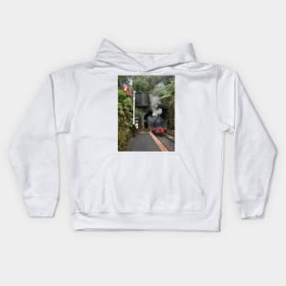 Haverthwaite Station Kids Hoodie